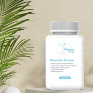 Rhodiola Rosea 500mg - Manipulado